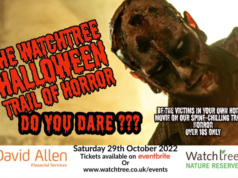 Watchtree Halloween Horror Trail – Over 18s Only