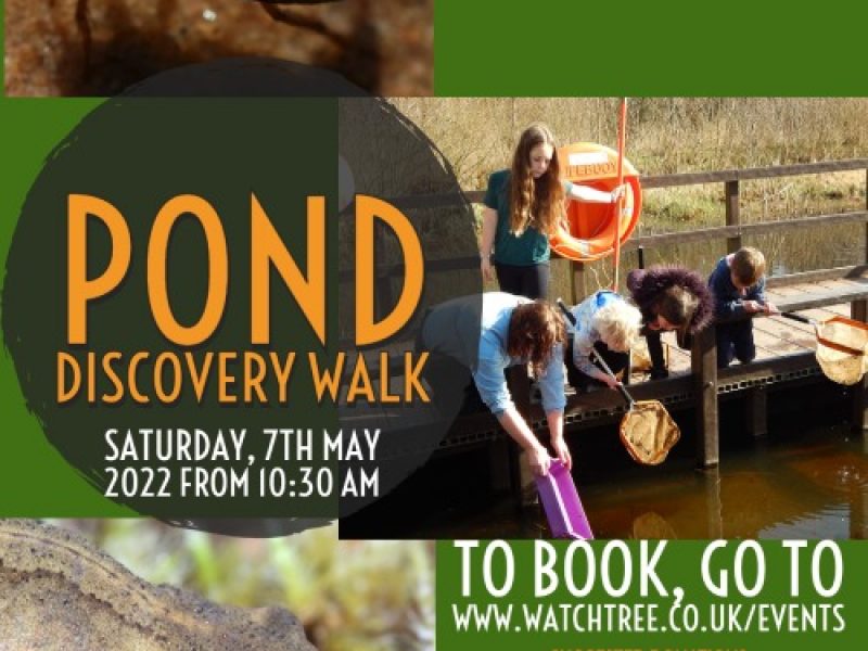 Pond Discovery Walk