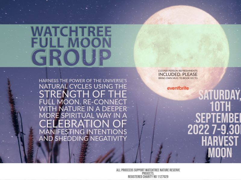 Watchtree Full Moon Group – Harvest Moon
