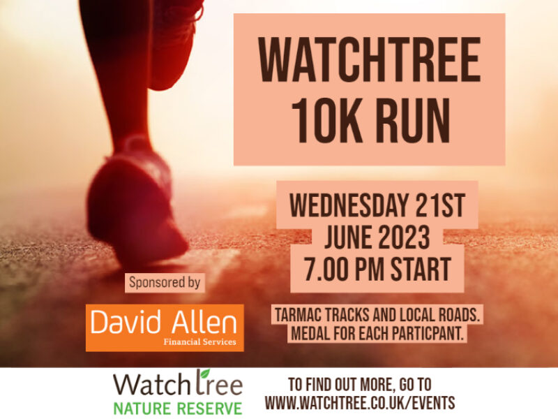 Watchtree 10k Run