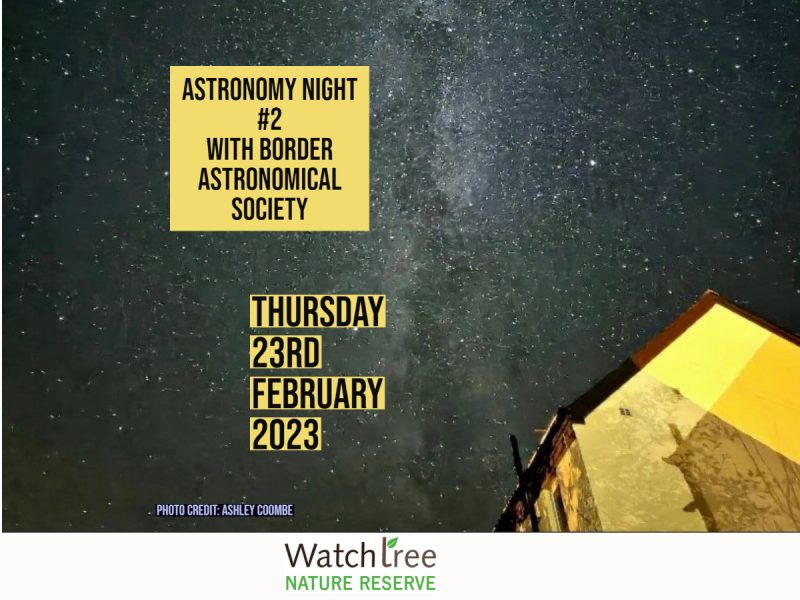 Astronomy Night #2