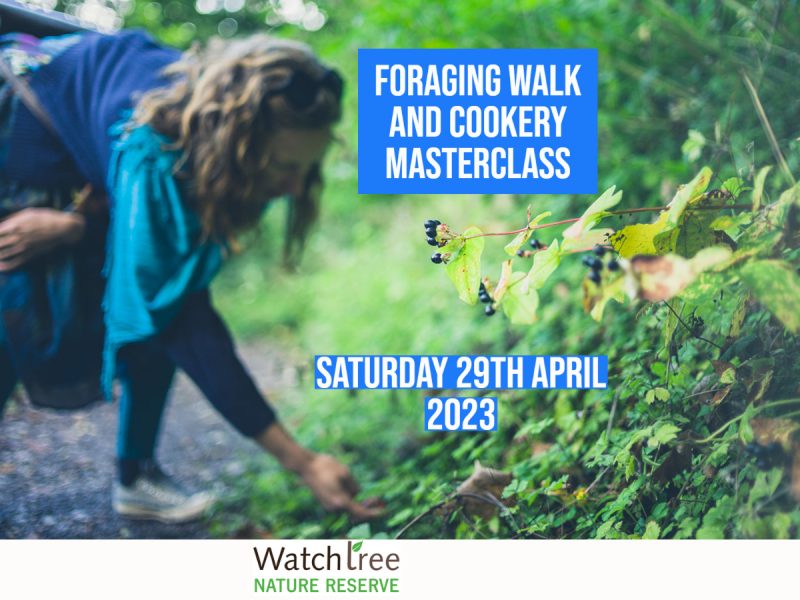 Foraging Walk and Cookery Masterclass with John Crouch